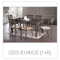 COS-EUNICE (1+6)